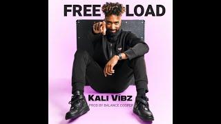 Kali Víbz - Freeload Lyric Video