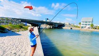 Tossing Live Bull Minnows Under a Bridge For Dinner But This Happened