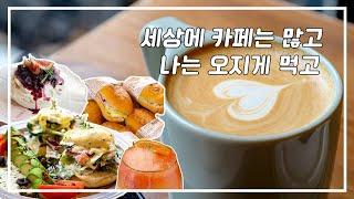 vlog11  성남 카페 추천할만한 곳? ️성남카페어디까지 가봤니?