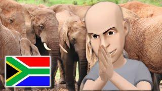 Classic Caillou Misbehaves on a Trip to South Africa Grounded S8EP5