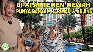 Punya Banyak Harimau & Anjing Di Apartemen Mewah