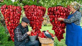 Home Making Bell Pepper Paste 