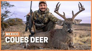 Hunting the most elusive whitetail Coues deer hunting in Mexico.