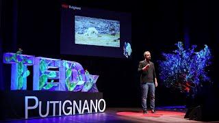 Combattere la disinformazione cambiando il nostro modo di leggere  Pierpaolo Salino  TEDxPutignano