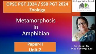 Metamorphosis In Amphibian #biologywithsonali #opscpgt #ssbpgt #zoology #metamorphosis