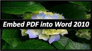 Embed PDF in Word - Microsoft Word