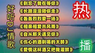 伤感好听DJ歌曲《别忘了我在等你》《长路漫漫陪你走》