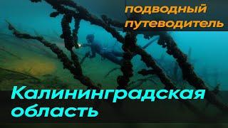  Подводный путеводитель ApneaPro. Калининградская область. Балтика Виштенецкое озеро Синявино.