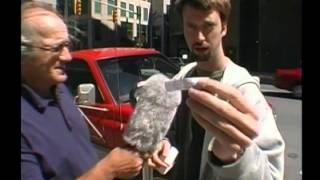 Tom Green meets man with Parking Meter Stickers