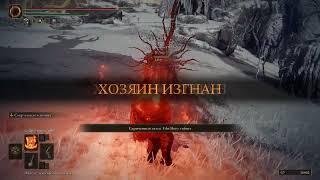 ELDEN RING  ИМБА PVP БИЛД  CURSE STACKER