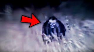 Top 5 Scary Creature Videos Youve NEVER Seen