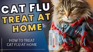 How to Treat Your Cats Flu at Home  How to Treat Cat Flu at Home Like a Pro  Cat World Academy