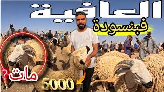 العافية شاعلة في سوق بنسودة فاس الغلاء الدرويش غي كيشوف ومقهور 