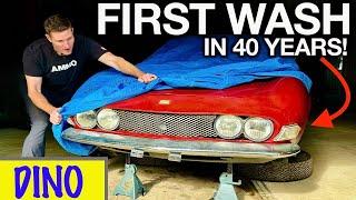 First Wash in 40 Years RARE Fiat Dino Moldy Disaster Detail