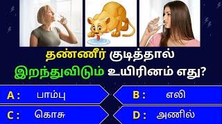 Interesting கேள்விகள் in tamil  gk tamil  general questions in tamil  gk quiz  Amazing facts 471