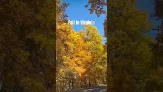 Fall in Virginia #leaves #fall #mountains #roadtrip #travel #travelvlog #virginia
