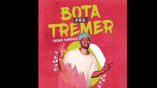 PEDRO SAMPAIO   BOTA PRA TREMER  ÁUDIO OFICIAL