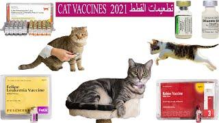 تطعيمات القطط 2021 CAT VACCINES