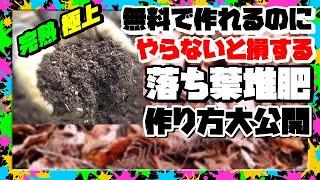 【やらなきゃ損】タダで畑がフカフカに【落ち葉堆肥の作り方】