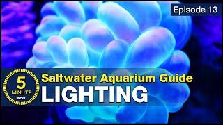 See how easy reef lighting a saltwater aquarium can be Selecting the right reef LED solution