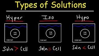 Hypertonic Hypotonic and Isotonic Solutions