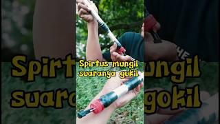 Cara membuat meriam spritus mini #mainan #kreatif #diy #spirtus