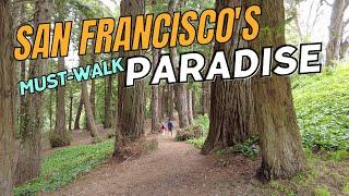 4K San Franciscos Thousand-Acre Paradise GOLDEN GATE PARK