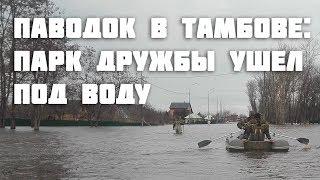 Паводок в Тамбове парк Дружбы ушёл под воду