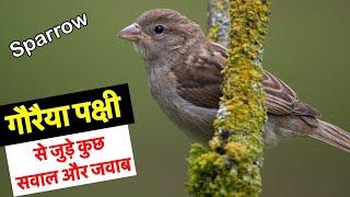 गौरैया पक्षी से जुड़े सवाल और जवाब  Questions and answer about Sparrow bird in Hindi