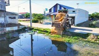 Starting New Project Completed 100% Landfill Flooded KOMATSU Dozer & Truck 5T Push Soils Into Water.