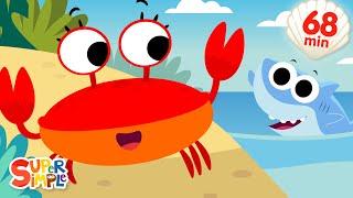 The Crabs Go Crawling + More  Fun Summer Songs  Super Simple Songs