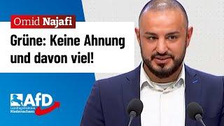 Grüne Keine Ahnung und davon viel – Omid Najafi AfD