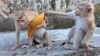 Joyce & others try to pull the towel off Carlos. New boy Carlo is really scared & shy of everyone