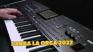 SARBA LA ORGA 2022  NOU DE JOC SARBA PERICULOASA