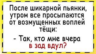 Как тёще толпой трубы чистили Сборник свежих анекдотов Юмор