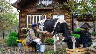 Cheesemaking - Making Cheese From Fresh Cows Milk