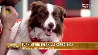 Burası Haftasonu - 14 Ekim 2017 Türkiyenin En Akıllı Köpeği Max