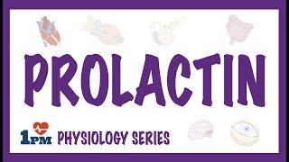 Prolactin  Endocrinology