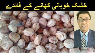 Khubani khanay ke faiday  dry apricot benefits  Benefits of dry apricot eating in Urdu Hindi