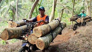 the risky job of a wooden motorcycle taxi in order to make a living