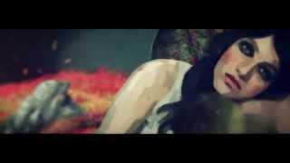 Siamak Abbasi  - Eshgh E Amigh - عشق عمیق - The Deep Love  HD