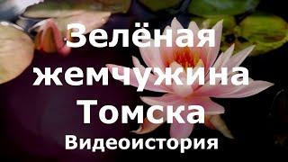 Видеоистория о Ботаническом саде «Зеленая жемчужина Томска» 0+