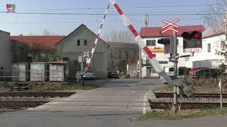 Železniční přejezd SSSR Zadní Třebaň P274 - 25.3.2022  Czech railroad crossing