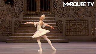 Dance of the Sugar Plum Fairy by Marianela Nuñez - The Royal Ballet  Stream on Marquee TV