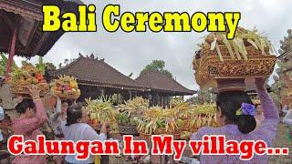 Happy To Celebrate Galungan Ceremony In The Village..Galungan Day In Bali... Bali Ceremony..