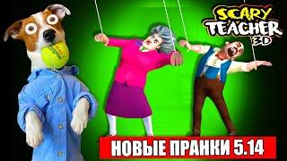 МИСС ТИ стала Куклой  Злая училка Scary Teacher 3D - новые Пранки