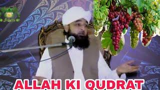 ALLAH KI QUDRAT - HAZRAT MUHAMMAD RAZA SAQIB MUSTAFAI