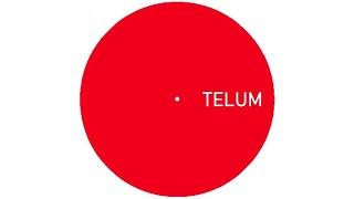 Unknown Artist - Untitled A1 TELUM007