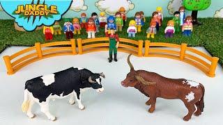 COW VS. BULLS BATTLE Jungle Daddy cow toys for kids schleich safari ltd mojo farm animals