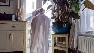 4K Transparent GOWN window CLEANING  Athena Allure TryOn